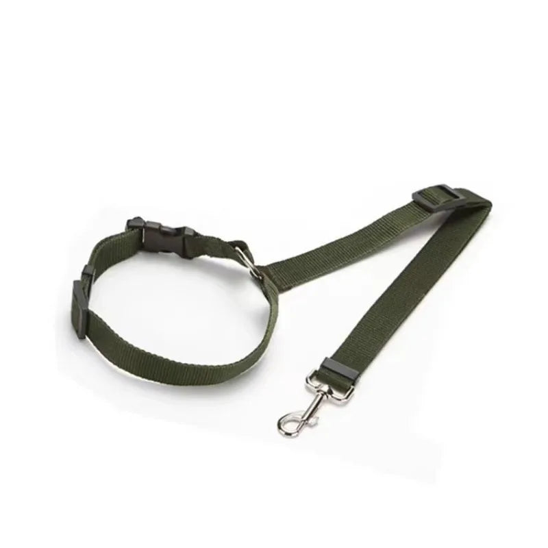 Cinturón de seguridad