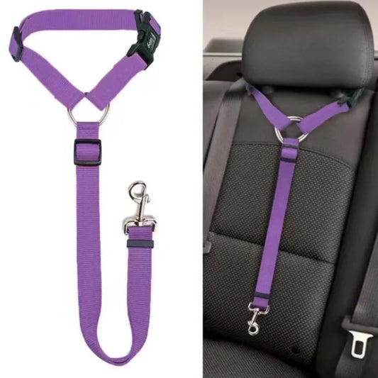 Cinturón de seguridad